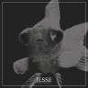 JESSE "Complete Discography" 2LP